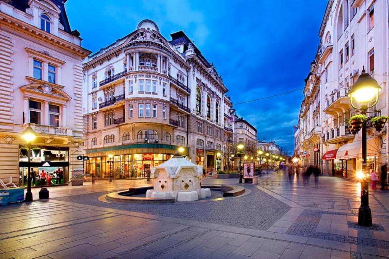 Stella Di Notte Vandrehjem Beograd Eksteriør billede